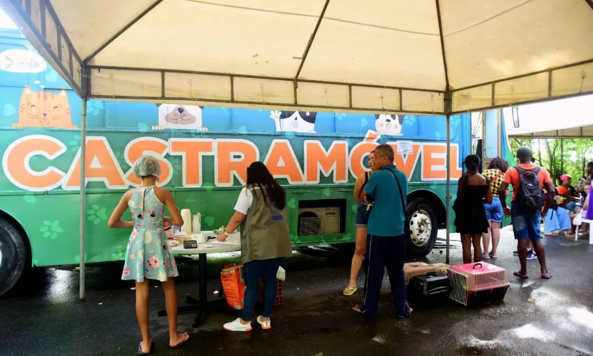 Prefeitura-Bairro-SuburbioIlhas-recebe-Castramovel0030330000202309011121-6