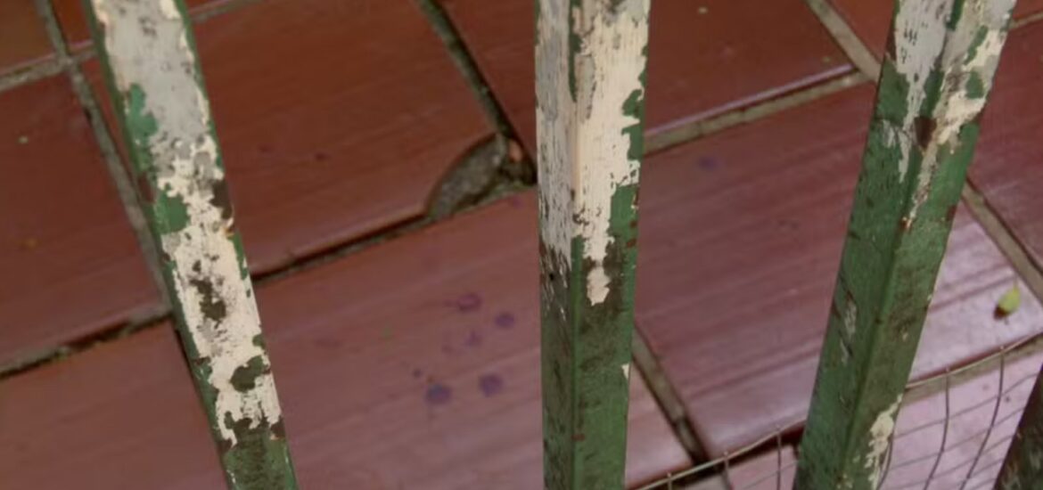 144596por-disputa-de-heranca-homem-mata-tres-pessoas-da-mesma-familia-durante-ceia-de-natal-3