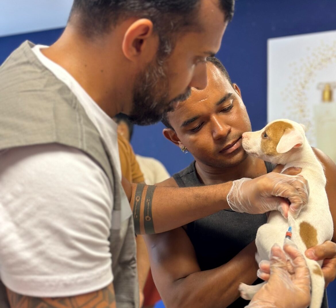 26c3829e-ca9d-486c-8ab6-b79da2cf7892