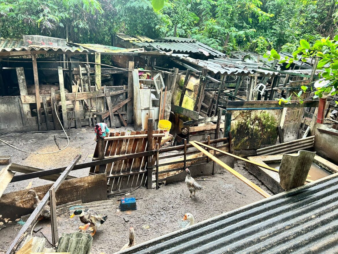 cae4bd19-3ee2-43a3-a24d-fd5c4be977cf