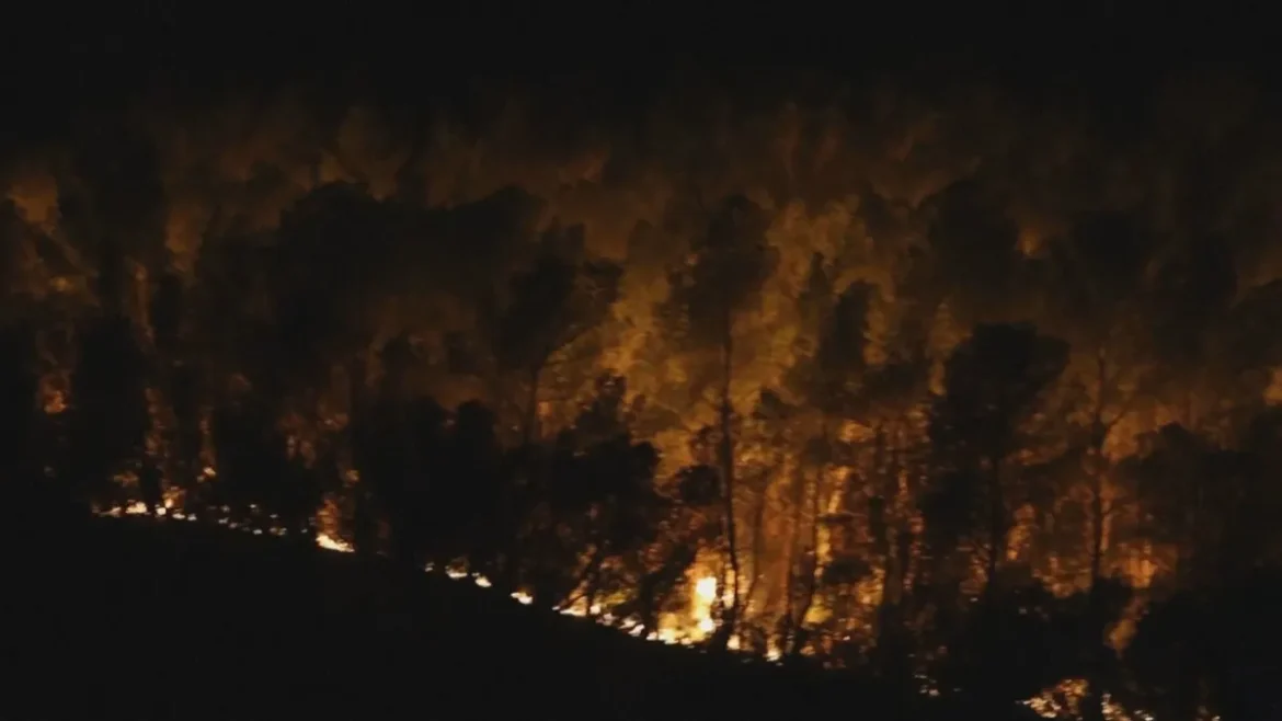 EDC_NVD_180725_IL_INCENDIO_FRANCA_frame_307